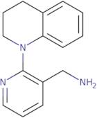 {2-[3,4-Dihydro-1(2H)-quinolinyl]-3-pyridinyl}methanamine