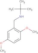 tert-Butyl[(2,5-dimethoxyphenyl)methyl]amine