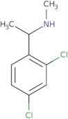 [1-(2,4-Dichlorophenyl)ethyl](methyl)amine