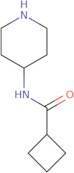 N-(Piperidin-4-yl)cyclobutanecarboxamide