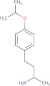 4-[4-(Propan-2-yloxy)phenyl]butan-2-amine