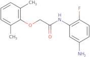 N-(5-Amino-2-fluorophenyl)-2-(2,6-dimethylphenoxy)acetamide