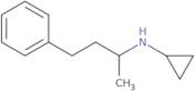 N-(4-Phenylbutan-2-yl)cyclopropanamine