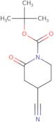 tert-Butyl 4-cyano-2-oxopiperidine-1-carboxylate