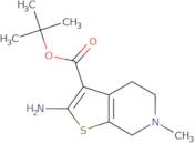 2-Amino-6-methyl-4,5,6,7-tetrahydro-thieno[2,3-c]pyridine-3-carboxylic acid tert-butyl ester