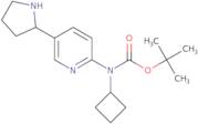 (2-Methoxybenzyl)(2-pyridinylmethyl)amine hydrobromide