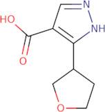 3-(Oxolan-3-yl)-1H-pyrazole-4-carboxylic acid