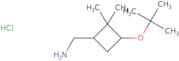 [3-(tert-Butoxy)-2,2-dimethylcyclobutyl]methanamine hydrochloride