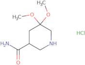5,5-Dimethoxypiperidine-3-carboxamide hydrochloride