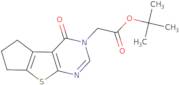 4H-Cyclopenta[4,5]thieno[2,3-d]pyrimidine-3(5H)-acetic acid, 6,7-dihydro-4-oxo-,1,1-dimethylethyl ester
