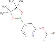 2-(Difluoromethoxy)-4-(4,4,5,5-tetramethyl-1,3,2-dioxaborolan-2-yl)pyridine