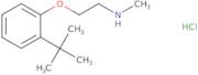 [2-(2-tert-Butylphenoxy)ethyl](methyl)amine hydrochloride