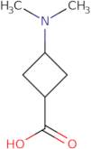 3-(Dimethylamino)cyclobutanecarboxylic acid