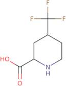 4-(Trifluoromethyl)piperidine-2-carboxylic acid