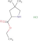 (S)-4,4-Dimethyl-pyrrolidine-2-carboxylic acid ethyl ester hydrochloride