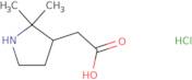 2-(2,2-Dimethylpyrrolidin-3-yl)acetic acid hydrochloride