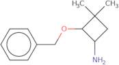 2-(Benzyloxy)-3,3-dimethylcyclobutan-1-amine