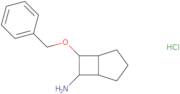 7-(Benzyloxy)bicyclo[3.2.0]heptan-6-amine hydrochloride