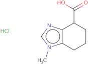 1-Methyl-4,5,6,7-tetrahydro-1H-1,3-benzodiazole-4-carboxylic acid hydrochloride