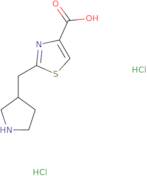 2-[(Pyrrolidin-3-yl)methyl]-1,3-thiazole-4-carboxylic acid dihydrochloride