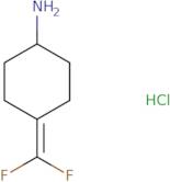 4-(Difluoromethylidene)cyclohexan-1-amine hydrochloride