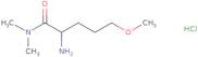 2-Amino-5-methoxy-N,N-dimethylpentanamide hydrochloride