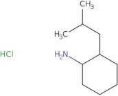 2-(2-Methylpropyl)cyclohexan-1-amine hydrochloride