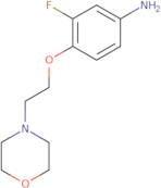 3-Fluoro-4-[2-(4-morpholinyl)ethoxy]phenylamine