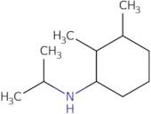 2,3-Dimethyl-N-(propan-2-yl)cyclohexan-1-amine