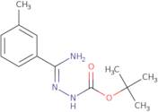 N'-[1-Amino-1-m-tolylmethylidene]-hydrazinecarboxylic acid tert-butyl ester