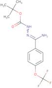 N'-[1-Amino-1-(4-(trifluoromethoxy)phenyl)methylidene]hydrazinecarboxylic acid tert-butyl