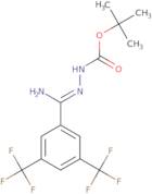 N'-[1-Amino-1-(3,5-bis-(trifluoromethyl)phenyl)-methylidene]hydrazinecarboxylic acid t-butyl ester