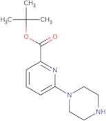 tert-Butyl 6-piperazin-1-ypyridine-2-carboxylate