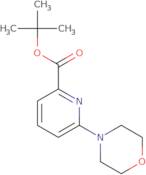 tert-Butyl 6-morpholin-4-ylpyridine-2-carboxylate