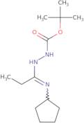 N'-[1-Cyclopenylaminopropylidene]hydrazinecarboxylic acid tert-butyl ester