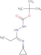 N'-[1-Cyclopropylaminopropylidene]hydrazinecarboxylic acid tert-butyl ester