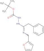 N'-[1-[(Furan-2-ylmethyl)amino]2-phenylethylidene]hydrazinecarboxylic acid tert-butyl ester