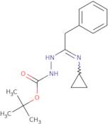 N'-[1-Cyclopropylamino-2-phenylethylidene]hydrazine carboxylic acid tert-butyl ester