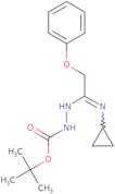 N'-[1-Cyclopropylamino-2-phenoxyethylidene]hydrazinecarboxylic acid tert-butyl ester