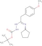 N'-[1-Cyclopentylamino-2-(4-methoxyphenyl)ethylidene]hydrazinecarboxylic acid tert-butyl ester