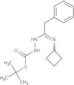 N'-[1-Cyclobutylamino-2-phenylethylidene]hydrazinecarboxylic acid tert-butylester