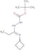 N'-[1-Cyclobutylaminopropylidene]hydrazinecarboxylic acid tert-butyl ester