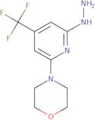 6-Morpholin-4-yl-4-(trifluoromethyl)-2-pyridylhydrazine