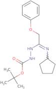 N'-[1-Cyclopentylamino-2-phenylidene]hydrazinecarboxylic acid tert-butyl ester