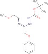 N'-[1-(2-Methoxyethylamino)-2-phenoxyethylidene]hydrazinecarboxylic acid tert-butyl ester