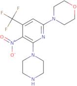 4-[5-Nitro-6-piperazin-1-yl-4-(trifluoromethyl)pyridin-2-yl]morpholine