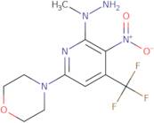 N-Methyl-N-(6-morpholin-4'-yl-3-nitro-4-(trifluoromethyl)pyridin-2-yl)hydrazine