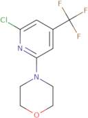 4-(6-Chloro-4-(trifluoromethyl)pyridin-2-yl)morpholine