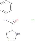 N-Phenyl-1,3-thiazolidine-4-carboxamide hydrochloride