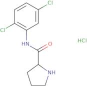 N-(2,5-Dichlorophenyl)pyrrolidine-2-carboxamide hydrochloride